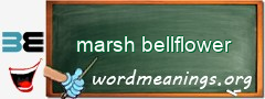 WordMeaning blackboard for marsh bellflower